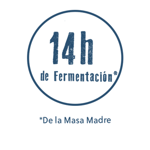 14 horas fermentación